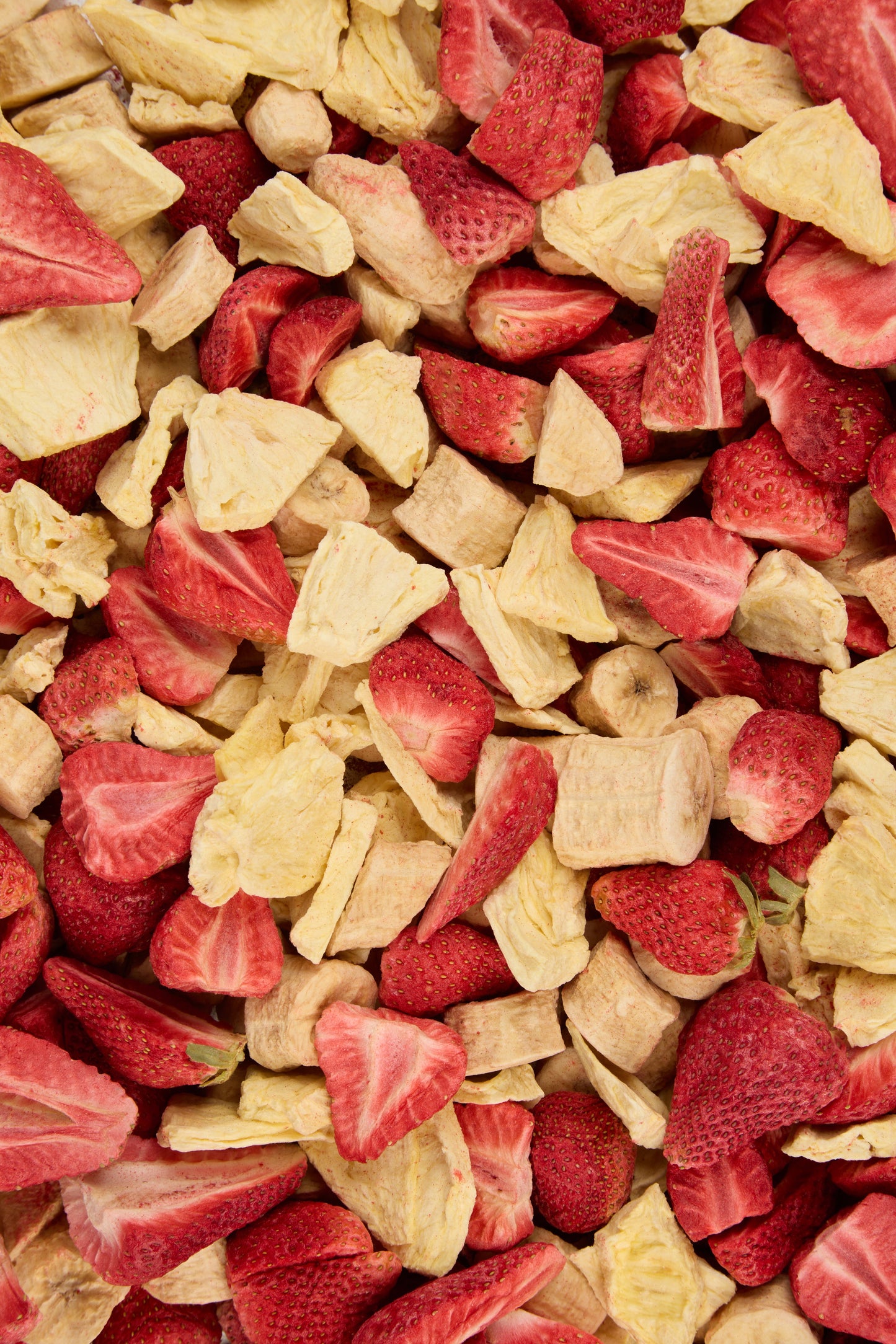 Fruit Snaps - Strawberry Pineapple Duo