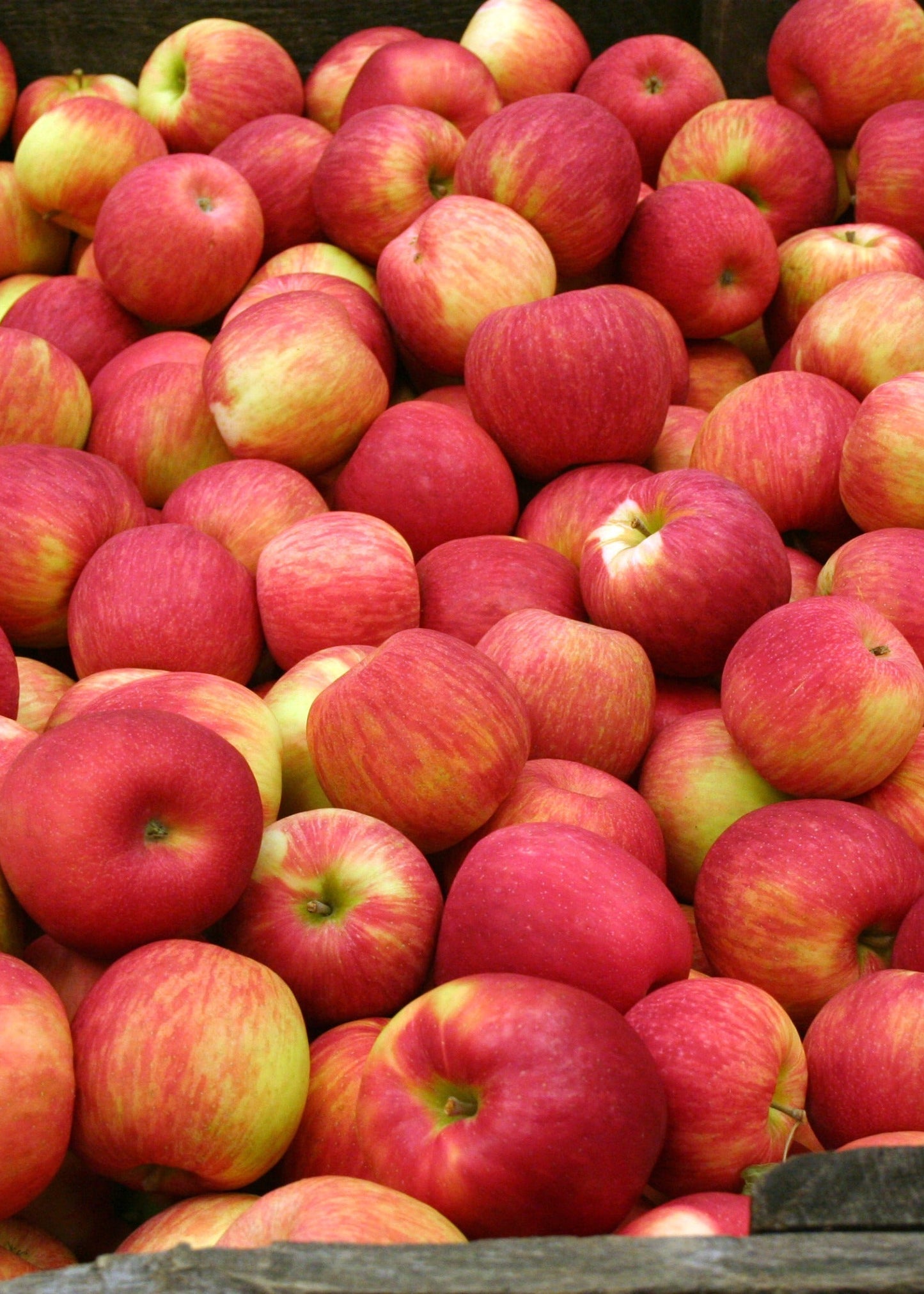 Single - Just Apples
