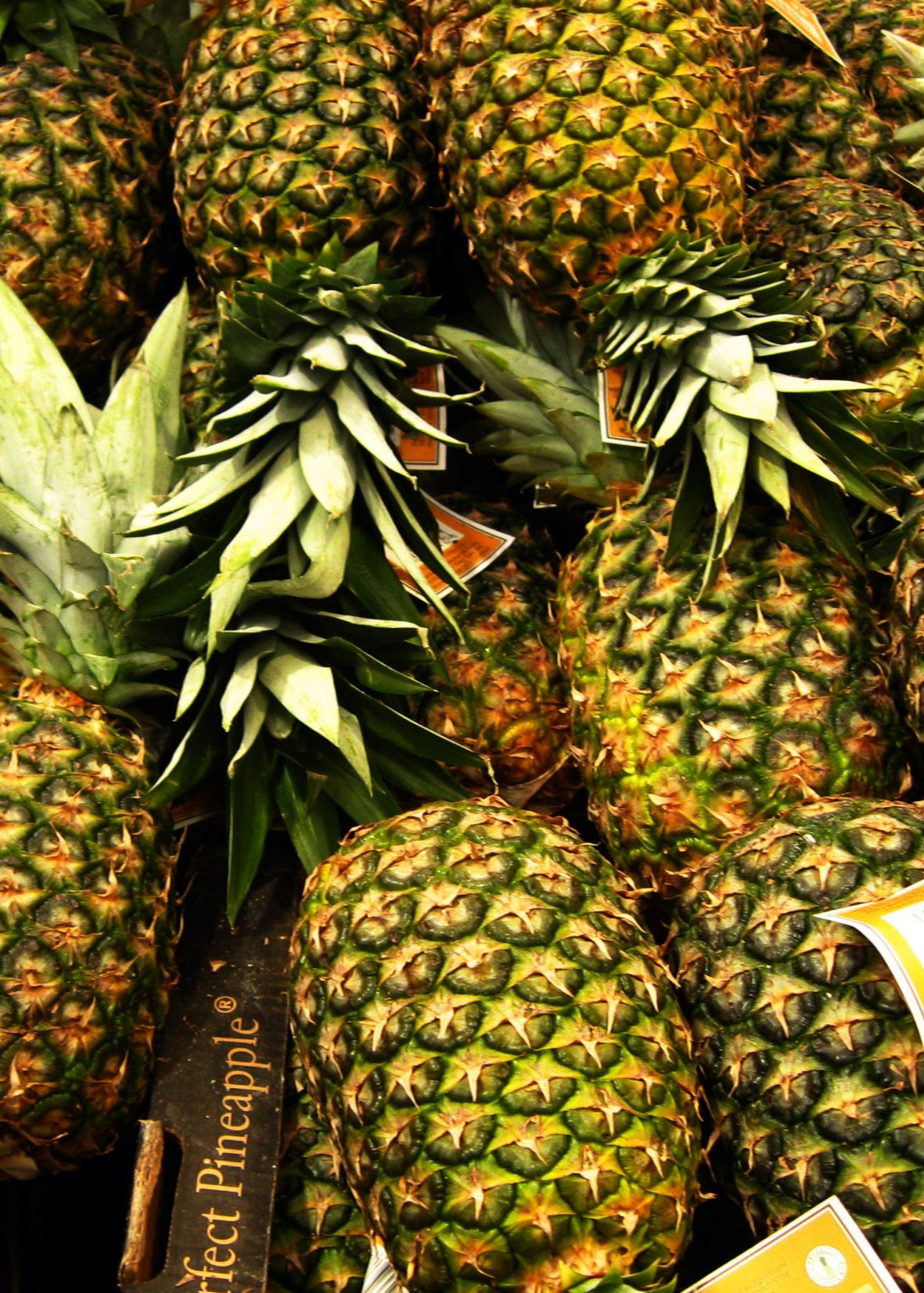 Single - Just Pineapple