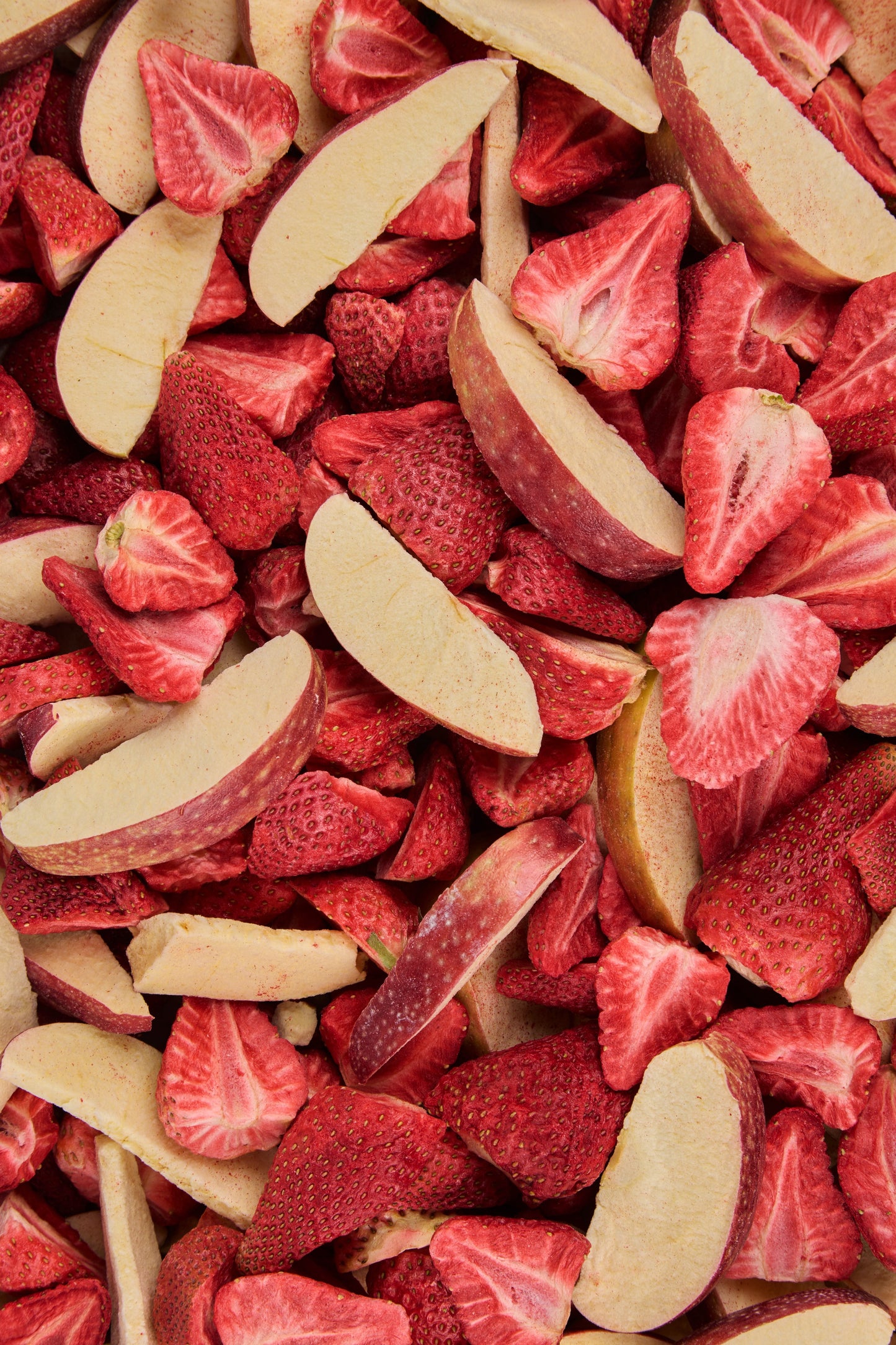 Fruit Snaps - Strawberry Apple Duo