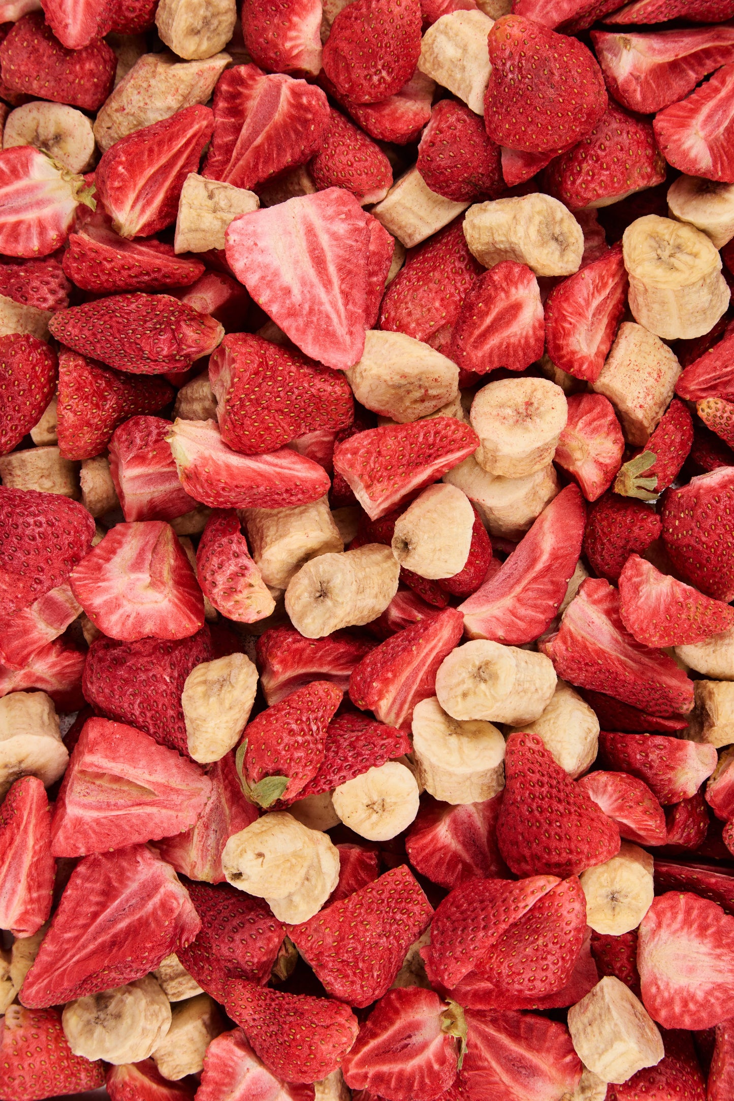 Fruit Snaps - Strawberry Banana Duo